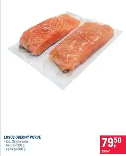 Makro Losos obecný porce nabídka