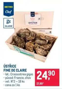 Makro Ústřice fine de claire nabídka