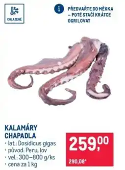 Makro Kalamáry chapadla nabídka
