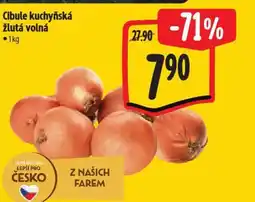 Albert Cibule kuchyňská žlutá volná nabídka