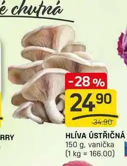 Flop HLÍVA ÚSTŘIČNÁ 150 g nabídka