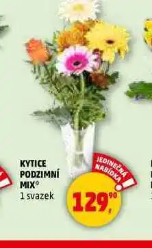 Penny Market KYTICE PODZIMNÍ MIX, 1 svazek nabídka