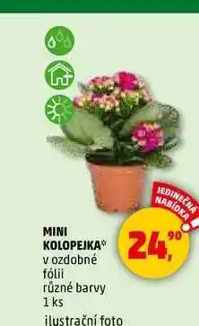 Penny Market MINI KOLOPEJKA, 1 ks nabídka