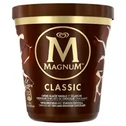 Tesco Magnum Pinta zmrzlina v kelímku 440ml, vybrané druhy nabídka