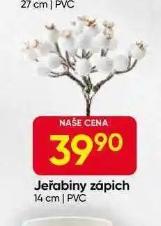 Hruška Jeřabiny zápich 14 cm | PVC nabídka