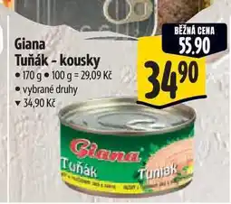 Albert Giana Tuňák - kousky 170 g nabídka