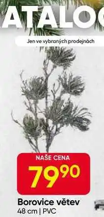 Hruška Borovice větev 48 cm | PVC nabídka