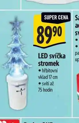 Albert LED svíčka stromek 17 cm nabídka