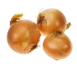 Albert Cibule žlutá 1 kg nabídka