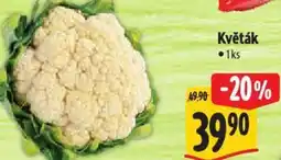 Albert Květák nabídka