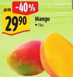 Albert Mango nabídka