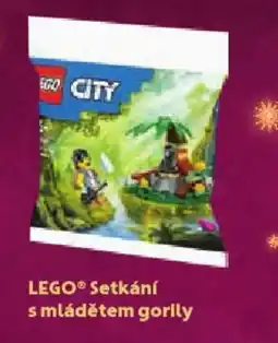 Albert LEGO® Setkání s mládětem gorily nabídka