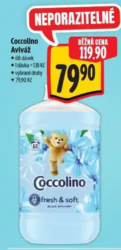 Albert Coccolino Aviváž nabídka