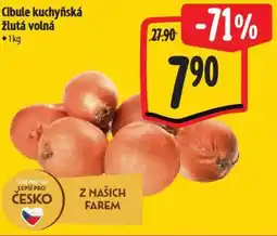 Albert Cibule kuchyňská žlutá volná nabídka