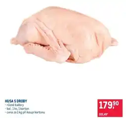 Makro Husa s droby nabídka