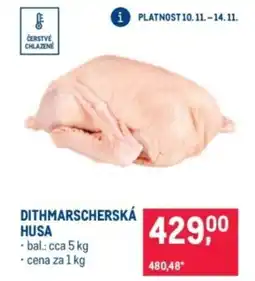 Makro Dithmarscherská husa nabídka