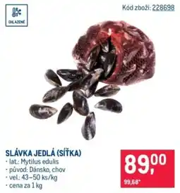 Makro Slávka jedlá (síťka) nabídka