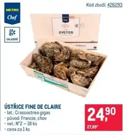 Makro Ústřice fine de claire nabídka
