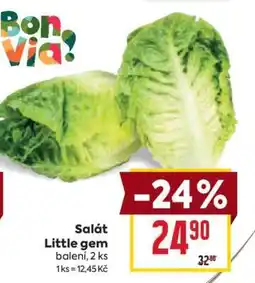 Billa Salát Little Gem nabídka