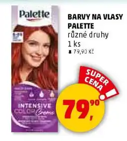 Penny Market BARVY NA VLASY PALETTE nabídka