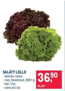 Makro SALÁTY LOLLO nabídka
