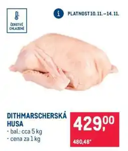 Makro DITHMARSCHERSKÁ HUSA nabídka