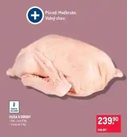 Makro HUSA S DROBY nabídka