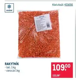 Makro RAKYTNÍK nabídka