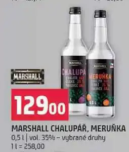 Terno Marshall chalupář, meruňka 0,5l nabídka