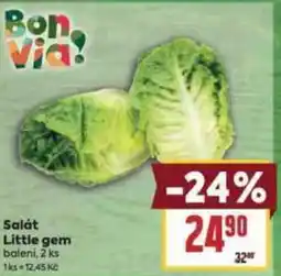 Billa Salát Little gem nabídka