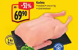 Albert Kachna nabídka