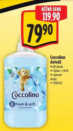 Albert Coccolino Aviváž nabídka