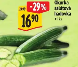 Albert Okurka salátová hadovka nabídka