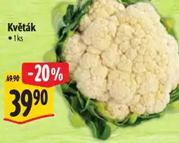 Albert Květák nabídka