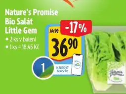 Albert Nature's Promise Bio Salát Little Gem nabídka