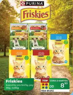 Tamda Foods Friskies kapsičky pro kočky, psy 85g, 4x85g nabídka