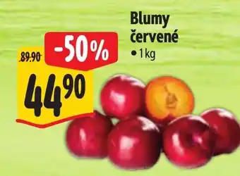 Albert Blumy červené nabídka