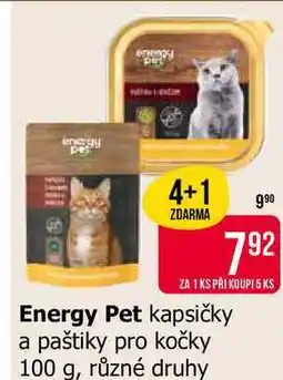 Teta Energy Pet kapsičky a paštiky pro kočky 100 g, různé druhy nabídka