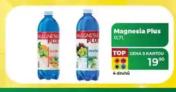 Tamda Foods Magnesia Plus 0,7L nabídka
