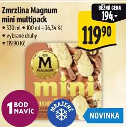 Albert Zmrzlina Magnum mini multipack nabídka
