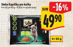 Albert Sheba Kapsičky pro kočky nabídka