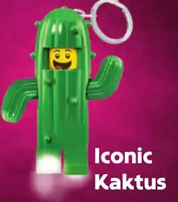 Albert Iconic Kaktus nabídka