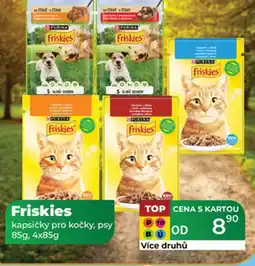 Tamda Foods Friskies kapsičky pro kočky, psy nabídka