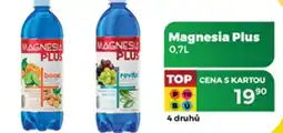 Tamda Foods Magnesia Plus nabídka