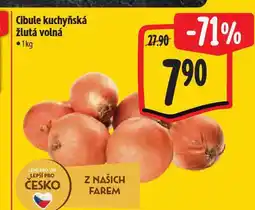 Albert Cibule kuchyňská žlutá nabídka