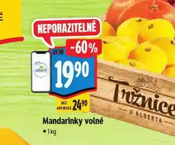 Albert Mandarinky volné nabídka