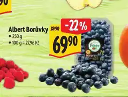 Albert Borůvky nabídka