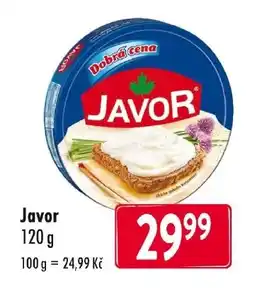 Qanto Javor nabídka