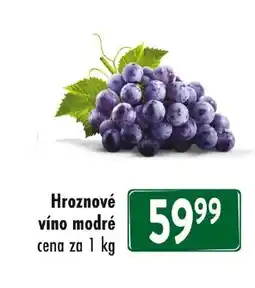 Qanto Hroznové víno modré nabídka