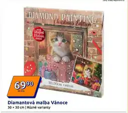 Action Diamantová malba Vánoce nabídka